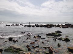 -广东惠东海龟国家级自然保护区