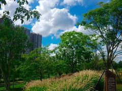 景点-大沙河公园