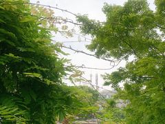 -嘉定紫藤园