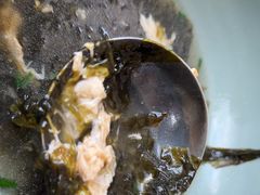 -生态苑农庄(十里画廊遇龙河店)