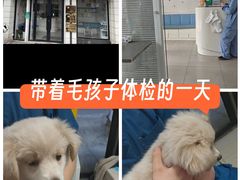 -守诺宠物医院·眼科· 特色牙科·异宠专科(虹口店)