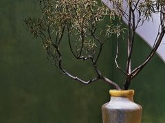 -Catch Bagel(芳草地店)