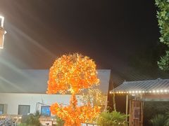 -后湖小院·乡野田园菜