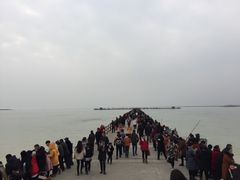 -江苏省泗阳县成子湖旅游度假区综合服务中心-停车场