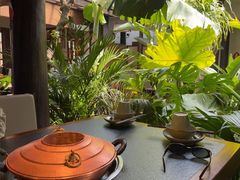 -菌自由丨野生菌火锅特色庭院餐厅(丽江古城店)