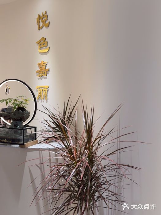 悦色嘉丽科技美肤健康管理(六里桥店)图片