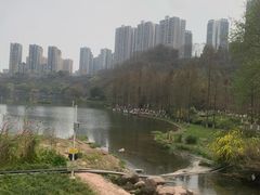 -重庆彩云湖湿地公园