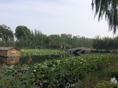 -白洋淀景区