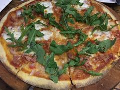 -百好乐宠物友好餐厅(朝外大街店)