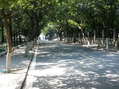 android_upload_pic-八大关景区