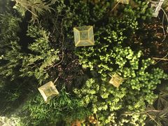 -潮粥荟·潮汕砂锅粥(朝阳大悦城店)