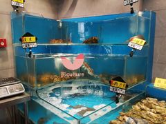 水产区-潮庭·大连海鲜·炭火烧烤·扇贝王(大连店)