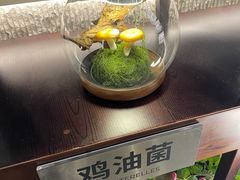 -芸山季·云南野生菌火锅(人民广场来福士店)