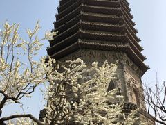 -玲珑塔公园