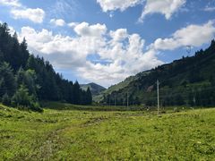 -芦芽山旅游度假区