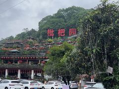 -枇杷园食为鲜火锅(南山店)