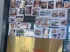 -御宝贝·A梦猫科宠物医院(国际猫友好医院)