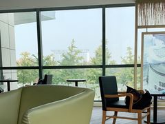 靠窗位-太平洋咖啡(北大国际医院店)