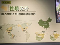 -四川大学博物馆