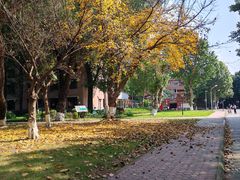 -四川大学(望江校区)