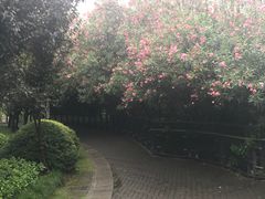 -苏州河梦清园环保主题公园