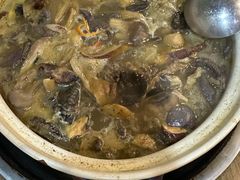 -杨记山珍鸡煲菌汤锅