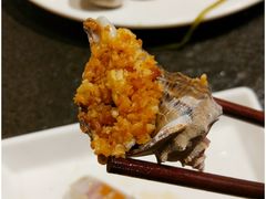 海螺-苏大嘴海鲜牧场(奥林匹克店)
