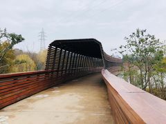 -昆山城市生态森林公园