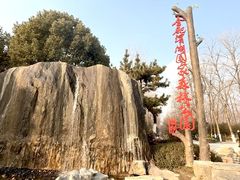 -合肥滨湖国家森林公园