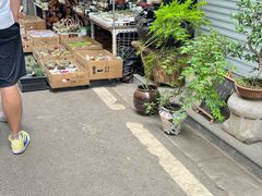 -苏州市皮市街花鸟工艺品市场