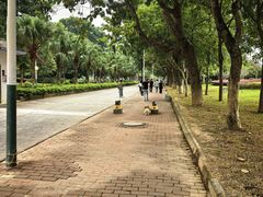 -风云岭森林公园
