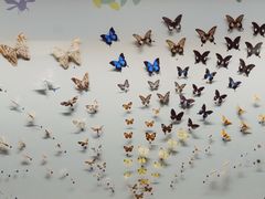 -香港科学馆
