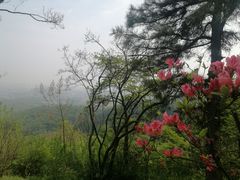 -敬亭山风景名胜区