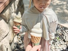 -东明山森林公园