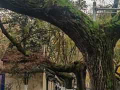 -颐和路民国时期公馆风貌区