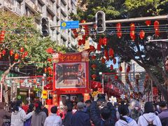 -越秀西湖花市(广州城市广场花卉店)