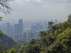 -南山植物园