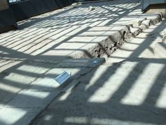 -西安大唐西市博物馆