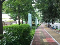 -新发展亚太JW万豪酒店大堂吧