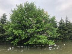 -江南大学(蠡湖校区)
