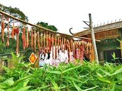 -苏家围·东江画廊旅游景区