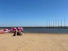 -碧海金沙