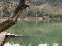 -天目湖山水园