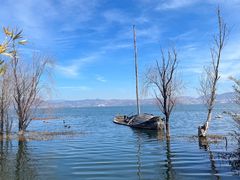 -洱海月湿地公园