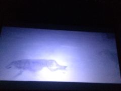 -万达影城(长沙婚庆公园中国巨幕店)