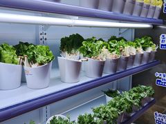 -领鲜活海鲜榴莲自助火锅(东门店)