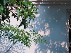 -虎丘山风景名胜区