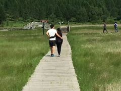 -塞罕坝国家级自然保护区