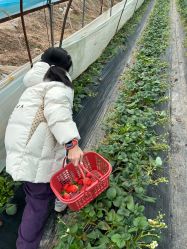 -上美四季动物农场