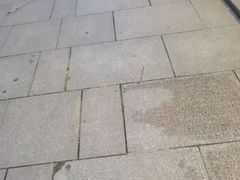 -浔庐餐厅•江西老字号•九江菜(南湖国际店)